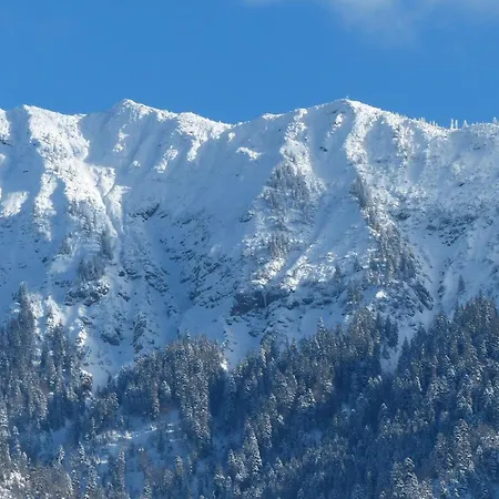 Hotel Amadeus - Inclusive Skipass Und Vieles Mehr Bad Hindelang